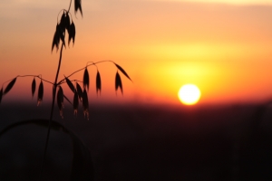 Der Start in den Sommer mit den besten Hits
