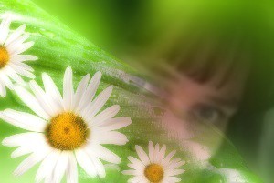Eisblume67